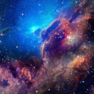 Meet your Posher, Logan